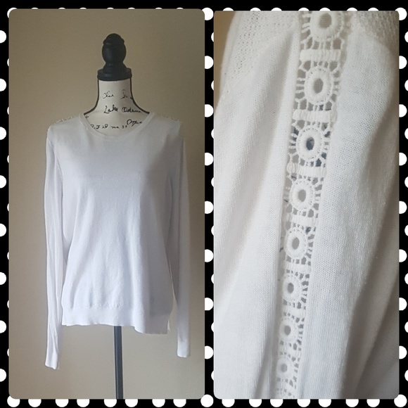 Ann Taylor Sweaters - Ann Taylor Loft Long Sleeve Lightweight Sweater